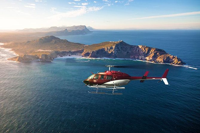Scenic Helicopter Tour, Table Mountain, Penguins & Cape Point Tour
